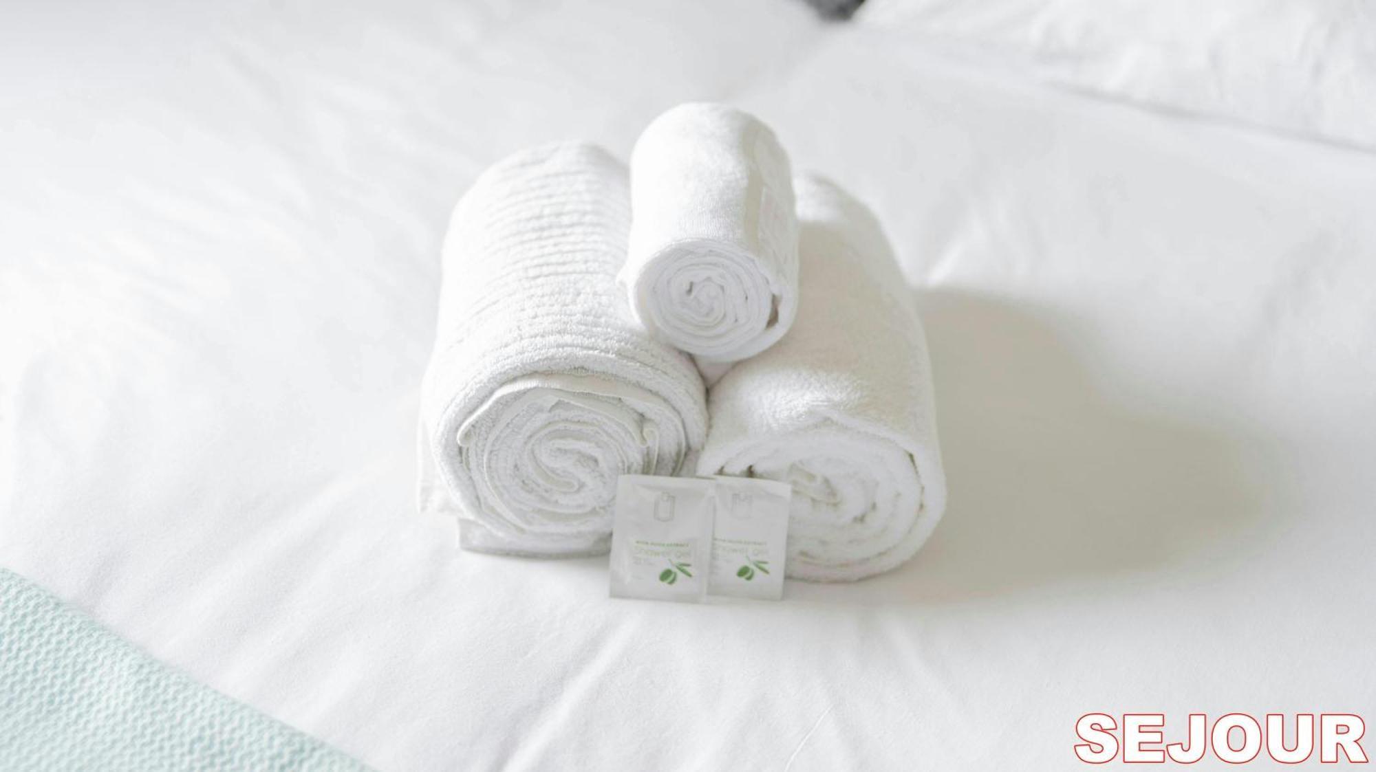 Apartamento 5 Minutes Du Zenith - Chic *